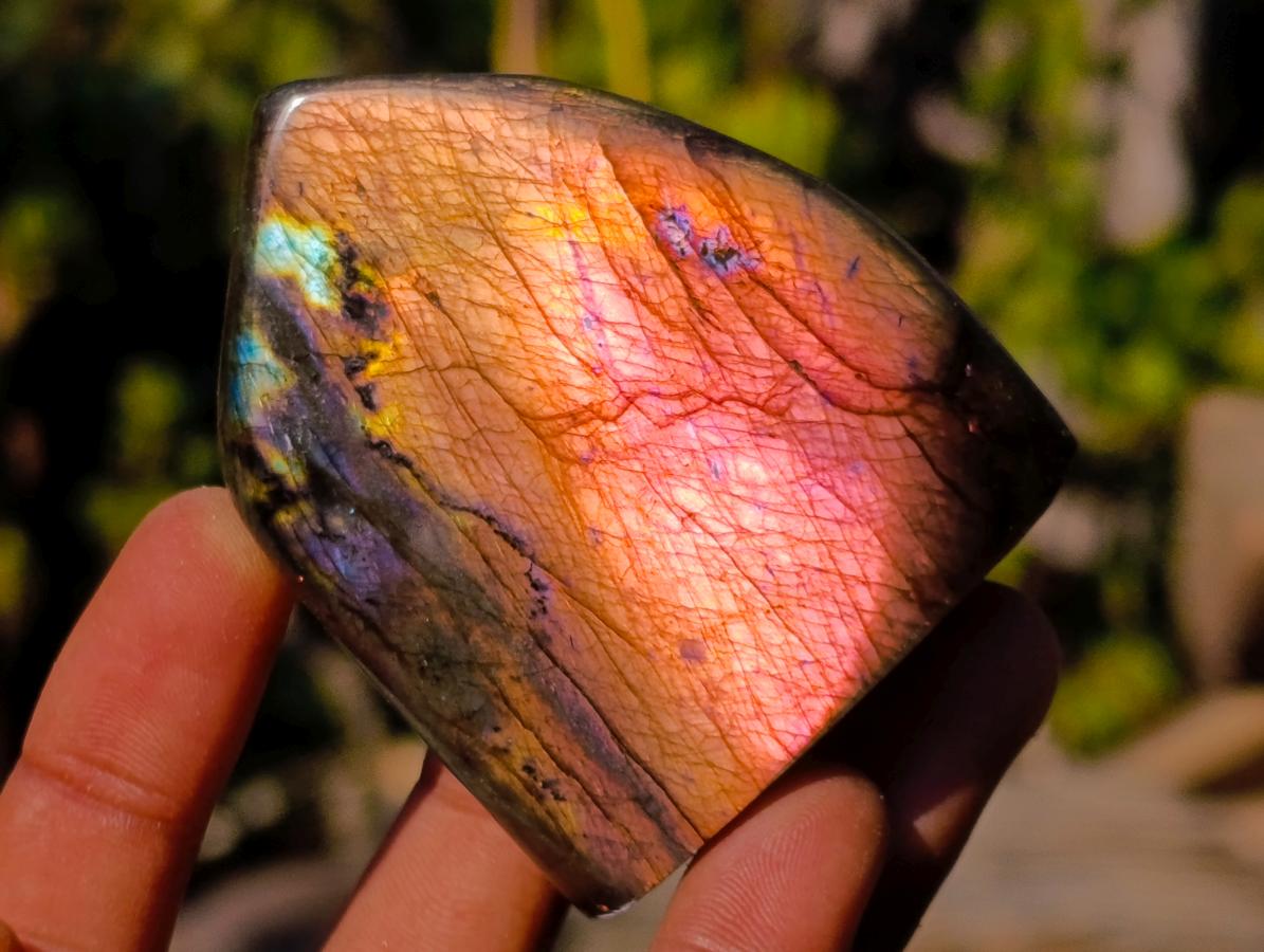 Polished Rare Purple Sunset Flash Labradorite Standing Display Pieces x 12 From Madagascar