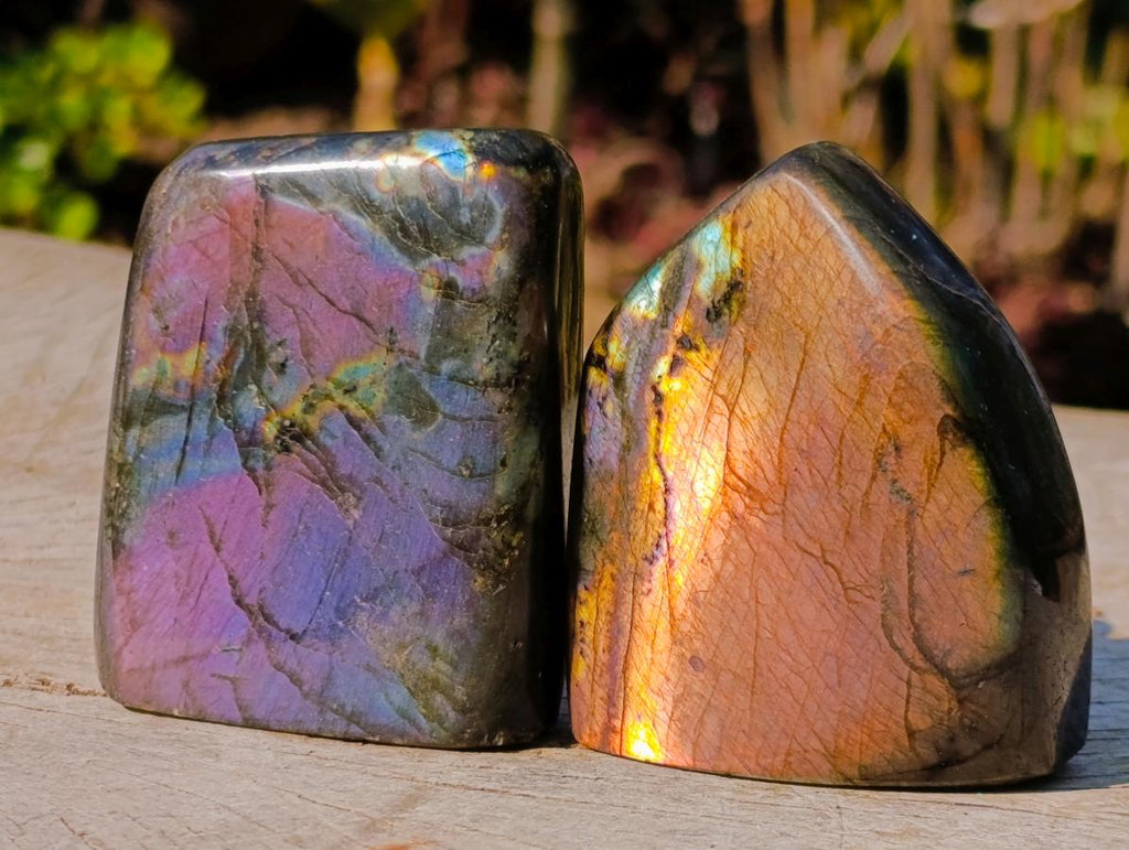 Polished Rare Purple Sunset Flash Labradorite Standing Display Pieces x 12 From Madagascar