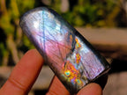 Polished Rare Purple Sunset Flash Labradorite Standing Display Pieces x 12 From Madagascar