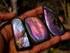 Polished Rare Purple Sunset Flash Labradorite Standing Display Pieces x 12 From Madagascar