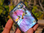 Polished Rare Purple Sunset Flash Labradorite Standing Display Pieces x 12 From Madagascar