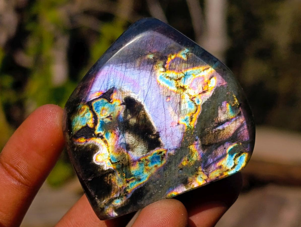 Polished Rare Purple Sunset Flash Labradorite Standing Display Pieces x 12 From Madagascar