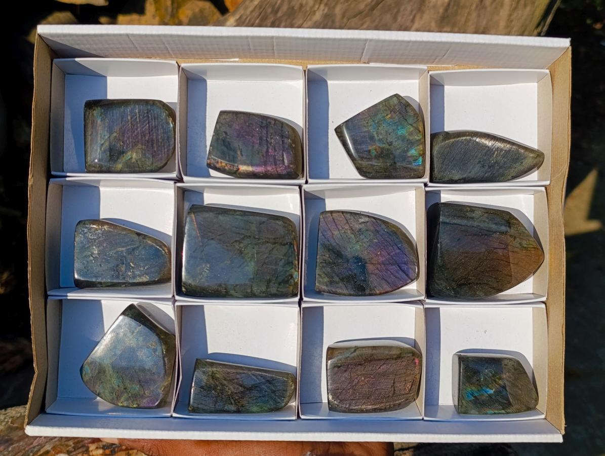 Polished Rare Purple Sunset Flash Labradorite Standing Display Pieces x 12 From Madagascar