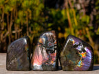 Polished Rare Purple Sunset Flash Labradorite Standing Display Pieces x 12 From Madagascar