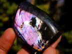 Polished Rare Purple Sunset Flash Labradorite Standing Display Pieces x 12 From Madagascar