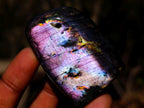 Polished Rare Purple Sunset Flash Labradorite Standing Display Pieces x 12 From Madagascar