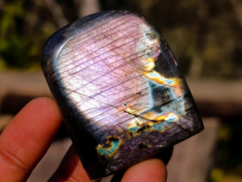 Polished Rare Purple Sunset Flash Labradorite Standing Display Pieces x 12 From Madagascar