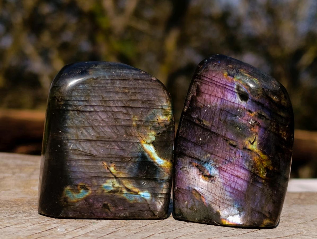 Polished Rare Purple Sunset Flash Labradorite Standing Display Pieces x 12 From Madagascar