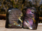Polished Rare Purple Sunset Flash Labradorite Standing Display Pieces x 12 From Madagascar