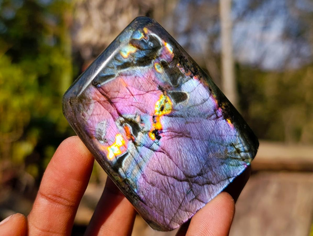 Polished Rare Purple Sunset Flash Labradorite Standing Display Pieces x 12 From Madagascar