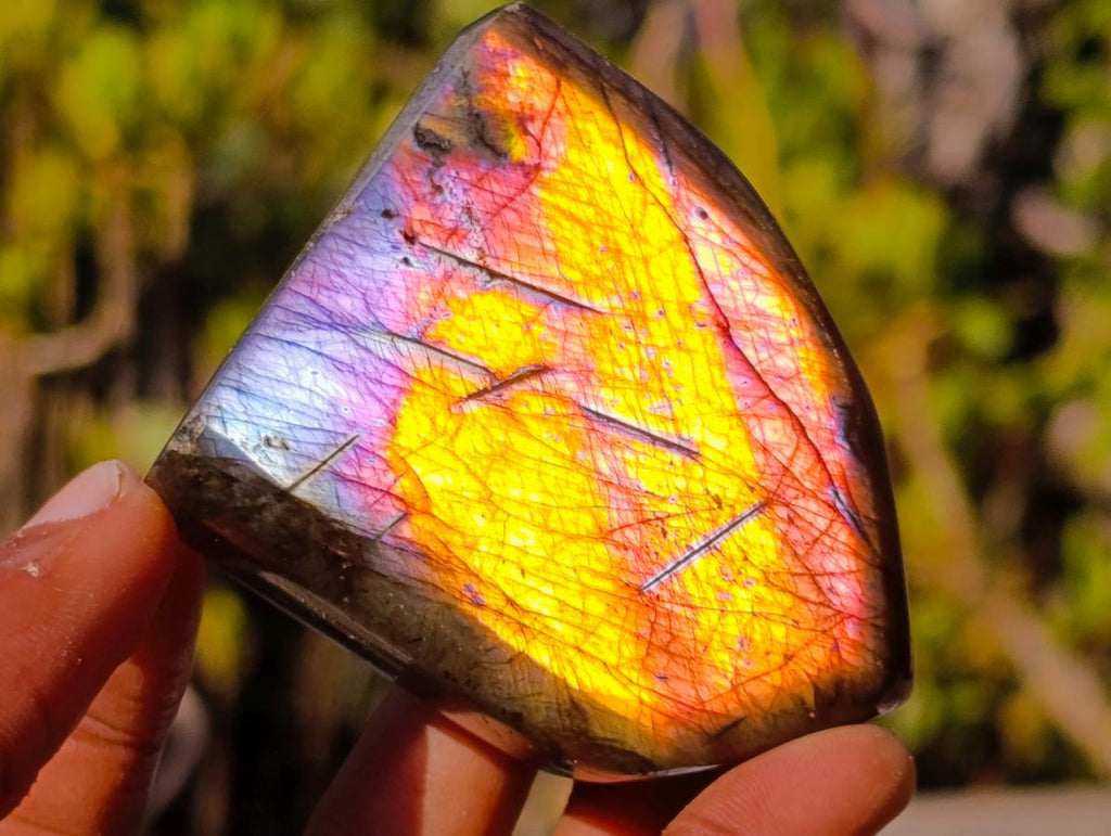 Polished Rare Purple Sunset Flash Labradorite Standing Display Pieces x 12 From Madagascar