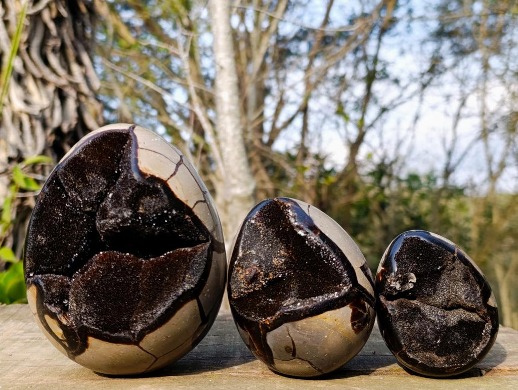 Polished and Natural Septerye Sauvage "Dragons Egg" Geodes x 3 From Mahajanga, Madagascar