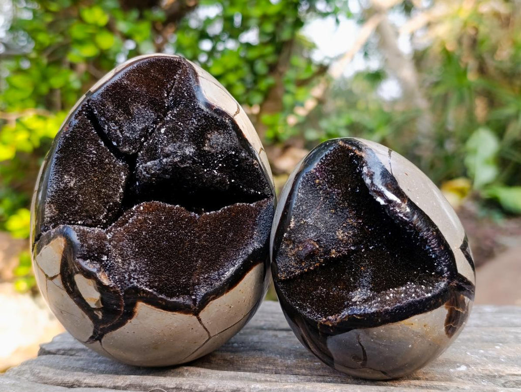 Polished and Natural Septerye Sauvage "Dragons Egg" Geodes x 3 From Mahajanga, Madagascar