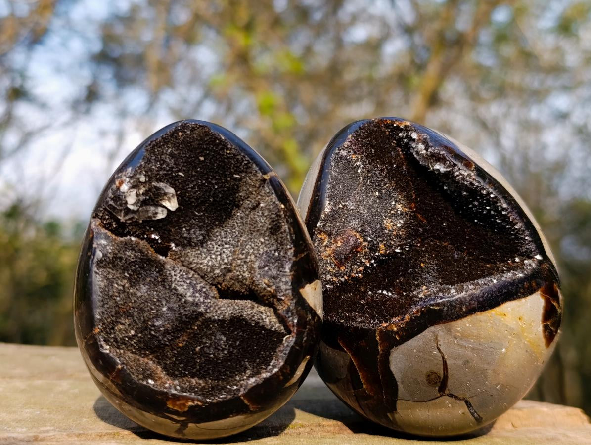 Polished and Natural Septerye Sauvage "Dragons Egg" Geodes x 3 From Mahajanga, Madagascar