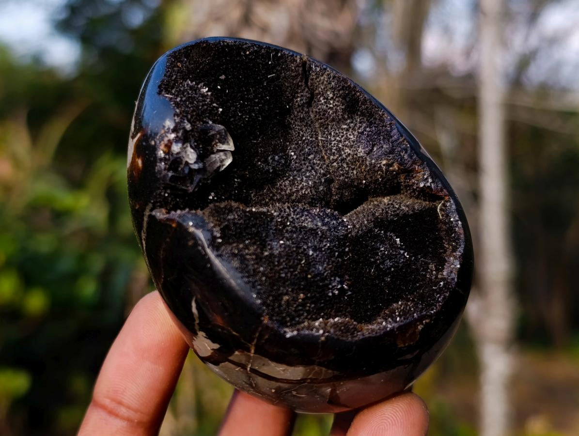 Polished and Natural Septerye Sauvage "Dragons Egg" Geodes x 3 From Mahajanga, Madagascar