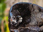 Polished and Natural Septerye Sauvage "Dragons Egg" Geodes x 3 From Mahajanga, Madagascar