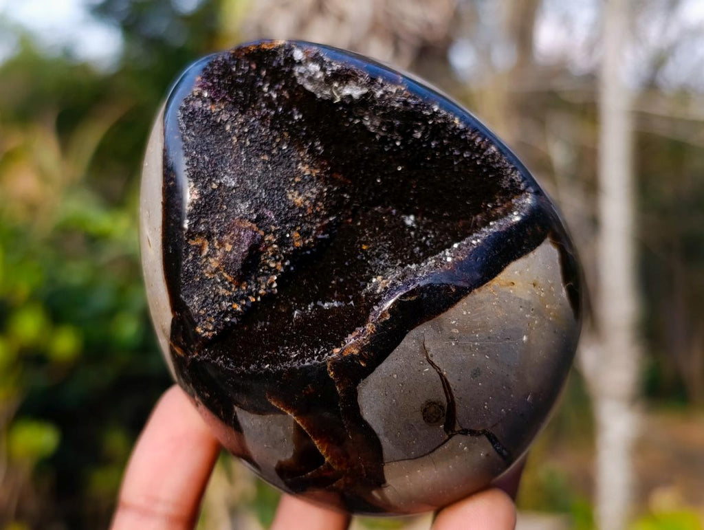 Polished and Natural Septerye Sauvage "Dragons Egg" Geodes x 3 From Mahajanga, Madagascar