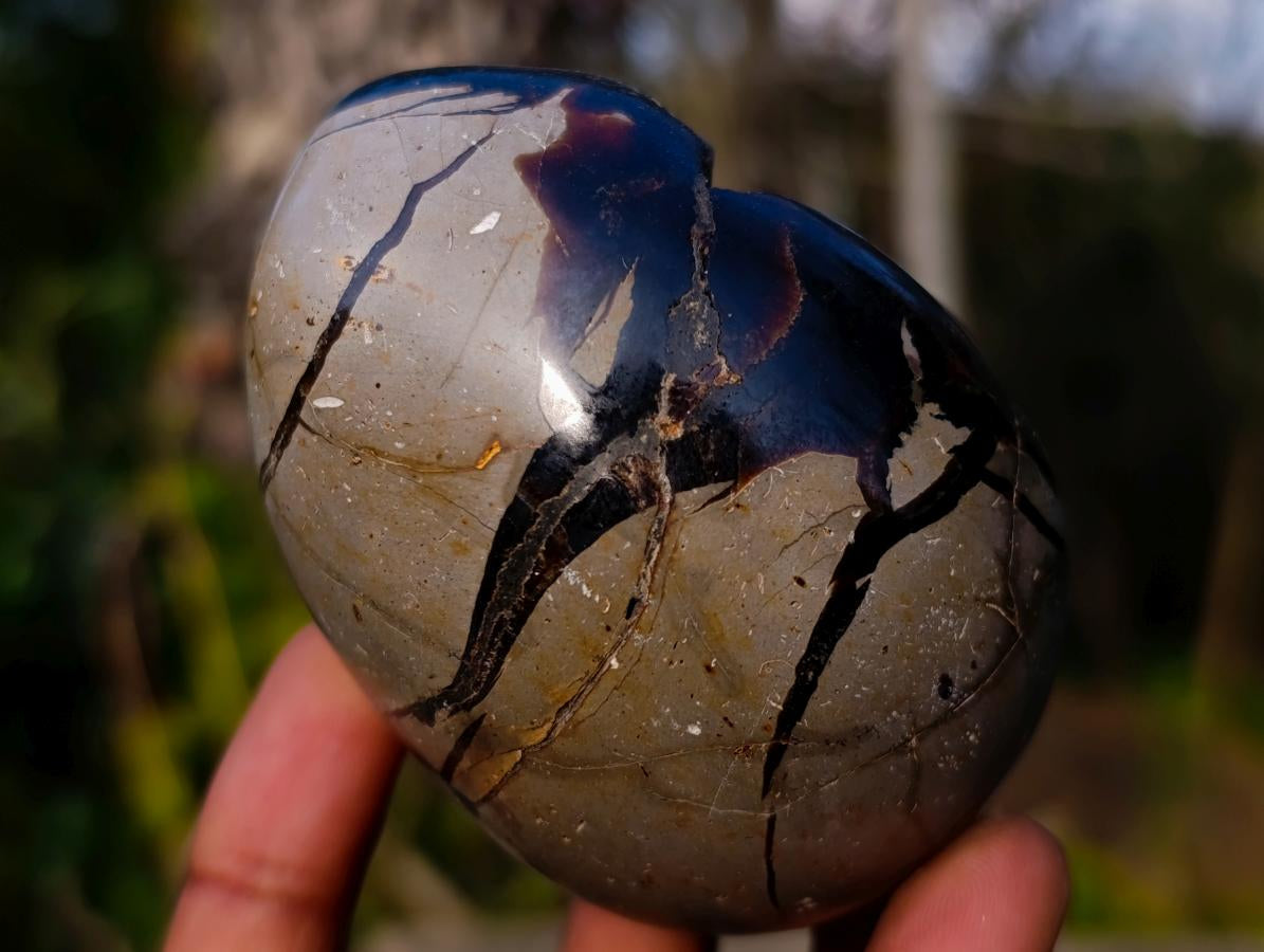 Polished and Natural Septerye Sauvage "Dragons Egg" Geodes x 3 From Mahajanga, Madagascar