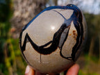 Polished and Natural Septerye Sauvage "Dragons Egg" Geodes x 3 From Mahajanga, Madagascar