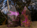 Polished Stichtite Display Crystals x 3 From Barberton, South Africa