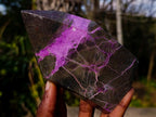 Polished Stichtite Display Crystals x 3 From Barberton, South Africa