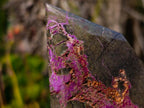 Polished Stichtite Display Crystals x 3 From Barberton, South Africa