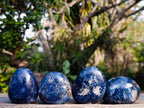 Polished Dumortierite Free Forms x 12 From Madagascar