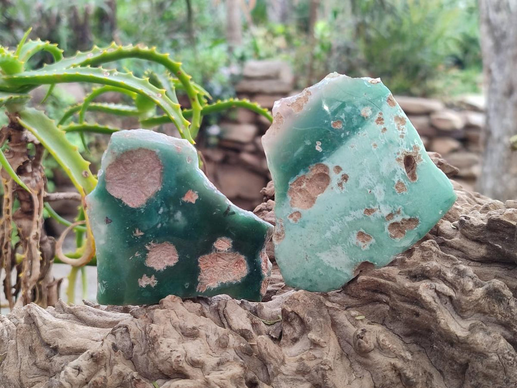 Polished One Side Mtorolite Chrysoprase Slices x 12 From Mutorashanga, Zimbabwe