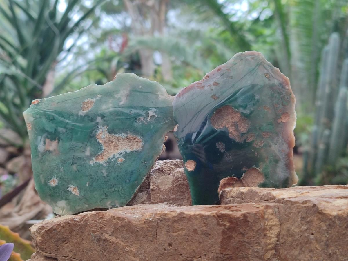 Polished One Side Mtorolite Chrysoprase Slices x 12 From Mutorashanga, Zimbabwe