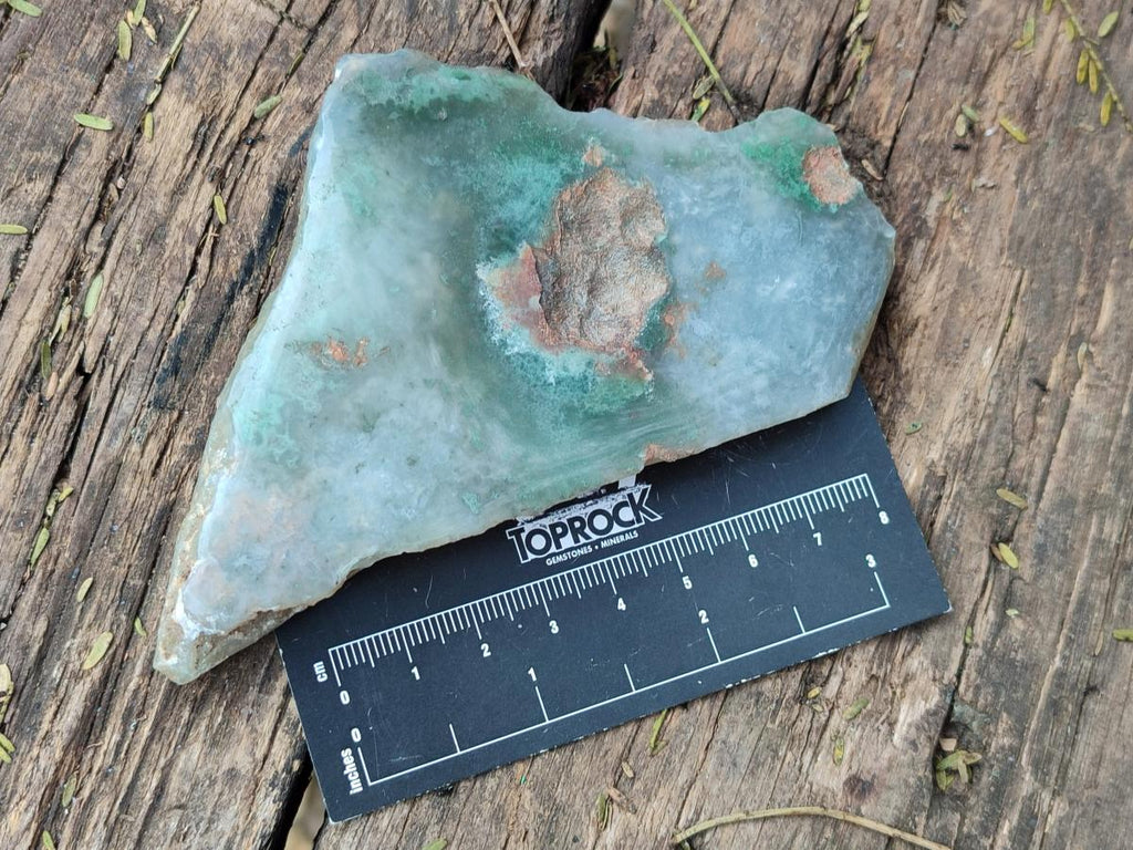 Polished One Side Mtorolite Chrysoprase Slices x 12 From Mutorashanga, Zimbabwe