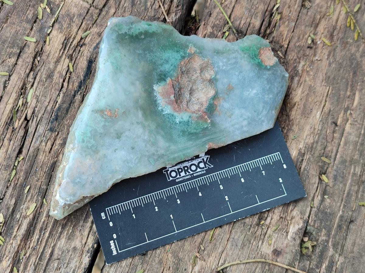 Polished One Side Mtorolite Chrysoprase Slices x 12 From Mutorashanga, Zimbabwe