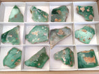 Polished One Side Mtorolite Chrysoprase Slices x 12 From Mutorashanga, Zimbabwe