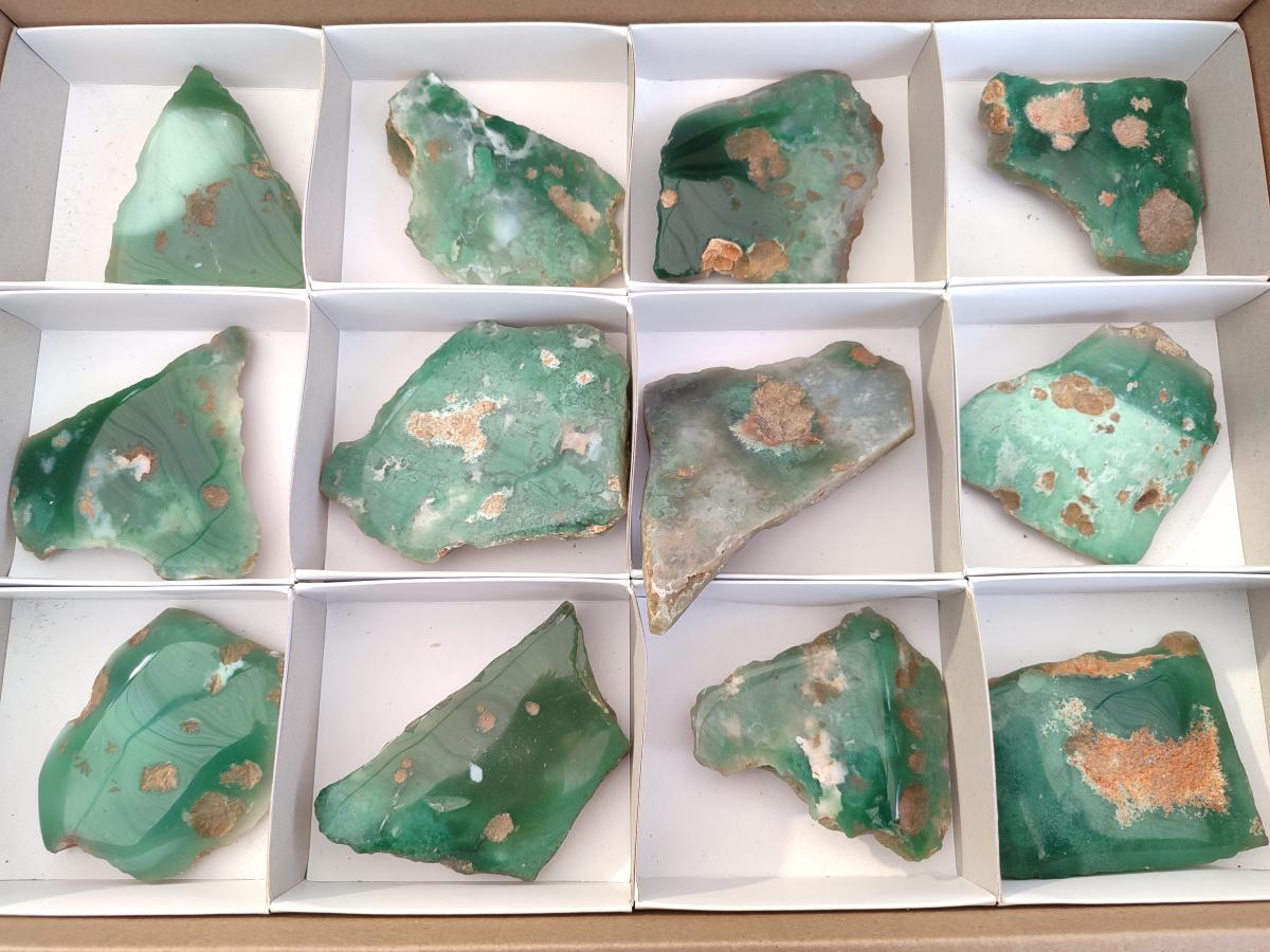 Polished One Side Mtorolite Chrysoprase Slices x 12 From Mutorashanga, Zimbabwe