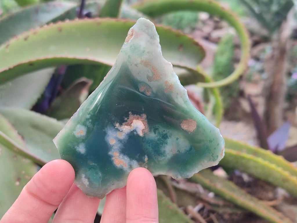 Polished One Side Mtorolite Chrysoprase Slices x 12 From Mutorashanga, Zimbabwe