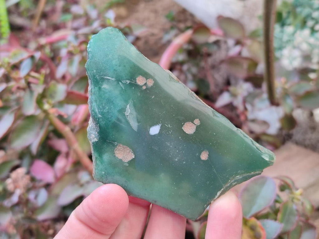 Polished One Side Mtorolite Chrysoprase Slices x 12 From Mutorashanga, Zimbabwe