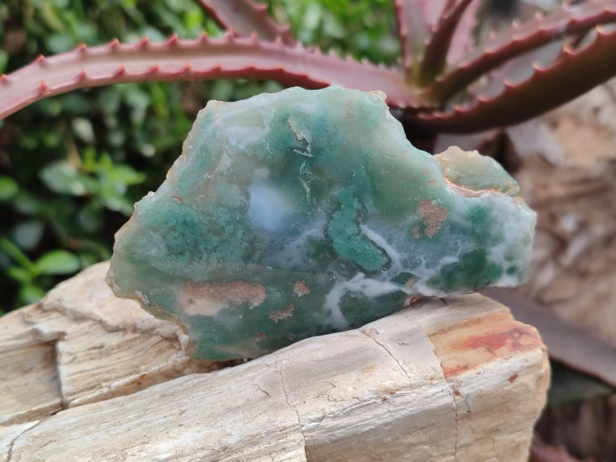 Polished One Side Mtorolite Chrysoprase Slices x 12 From Mutorashanga, Zimbabwe