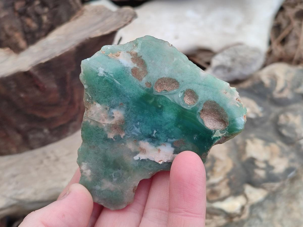 Polished One Side Mtorolite Chrysoprase Slices x 12 From Mutorashanga, Zimbabwe