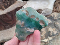 Polished One Side Mtorolite Chrysoprase Slices x 12 From Mutorashanga, Zimbabwe