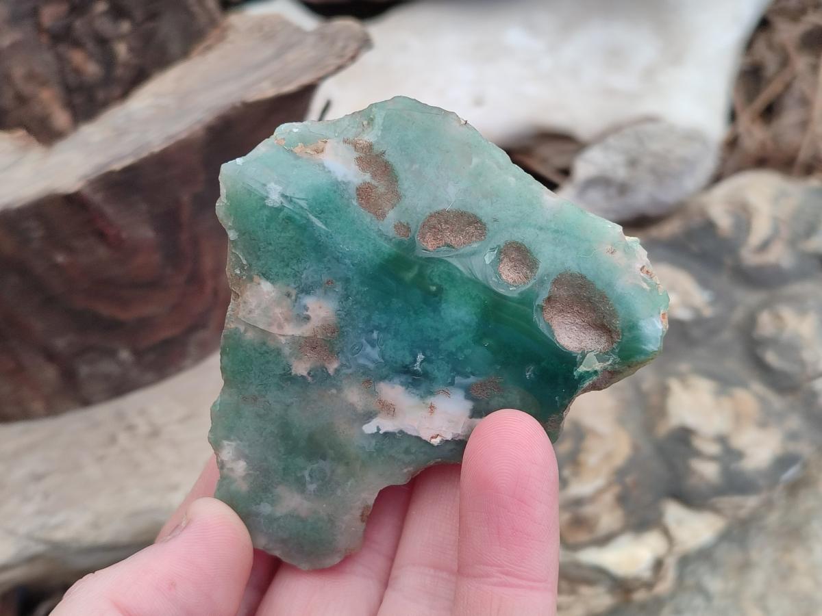 Polished One Side Mtorolite Chrysoprase Slices x 12 From Mutorashanga, Zimbabwe