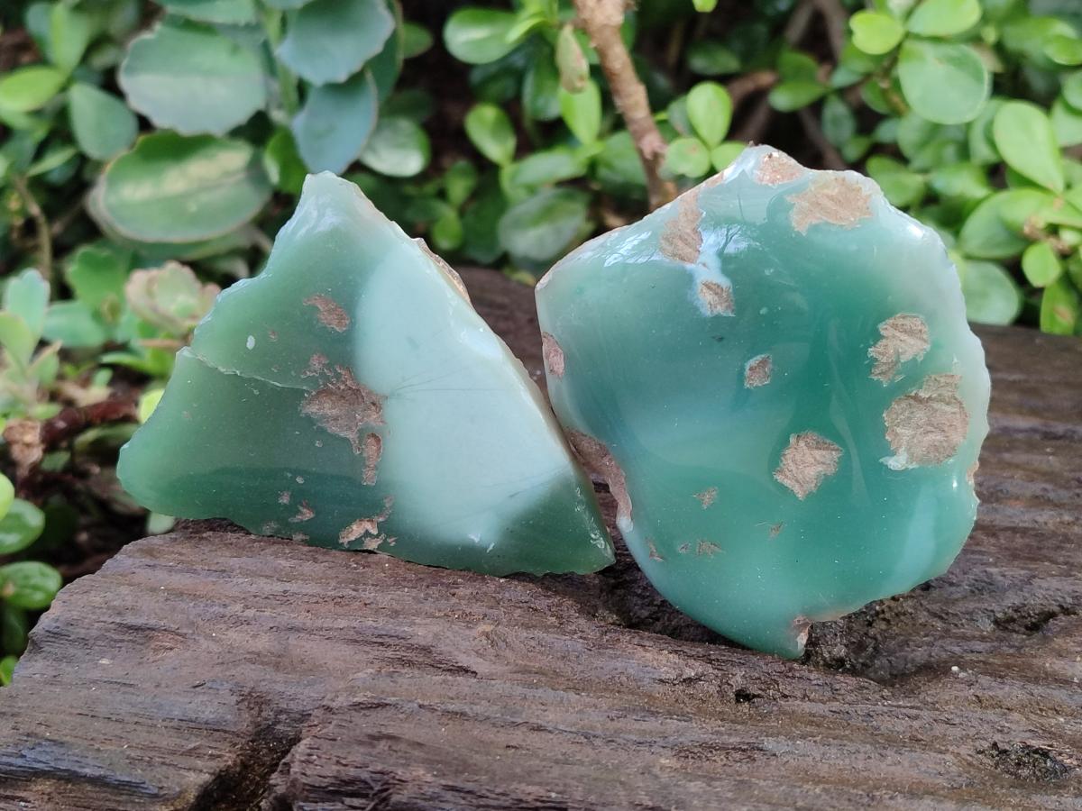 Polished One Side Mtorolite Chrysoprase Slices x 12 From Mutorashanga, Zimbabwe