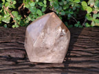 Polished Large Smokey Quartz Crystal x 1 From Angola