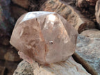 Polished Large Smokey Quartz Crystal x 1 From Angola
