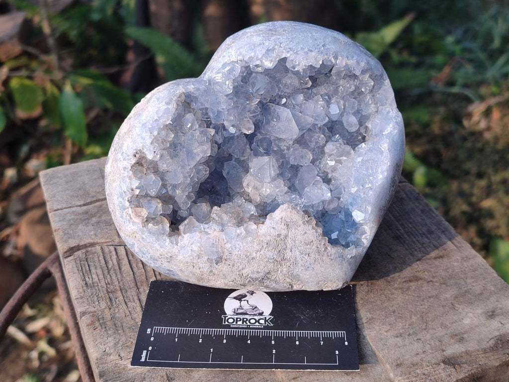 Polished and Natural Blue Celestite Hearts x 2 From Sakoany, Madagascar