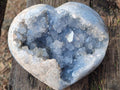 Polished and Natural Blue Celestite Hearts x 2 From Sakoany, Madagascar