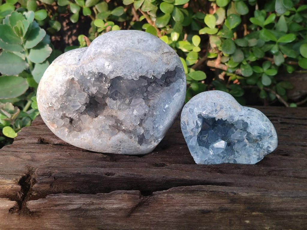 Polished and Natural Blue Celestite Hearts x 2 From Sakoany, Madagascar