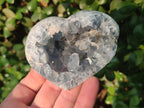 Polished and Natural Blue Celestite Hearts x 2 From Sakoany, Madagascar