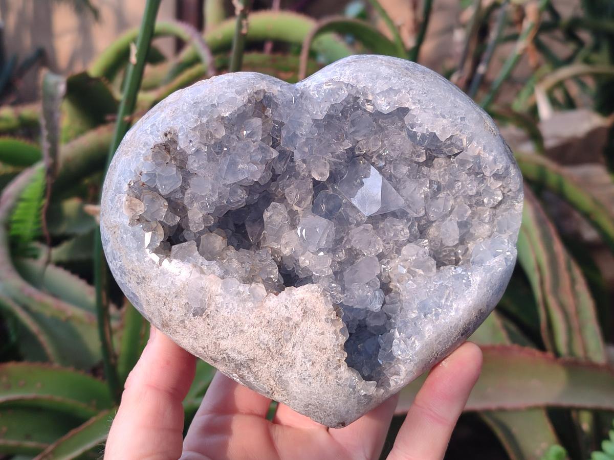 Polished and Natural Blue Celestite Hearts x 2 From Sakoany, Madagascar
