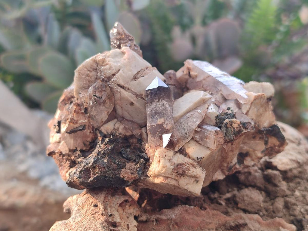 Natural Aegirine Specimens with Associated Minerals x 3 From Zomba, Malawi
