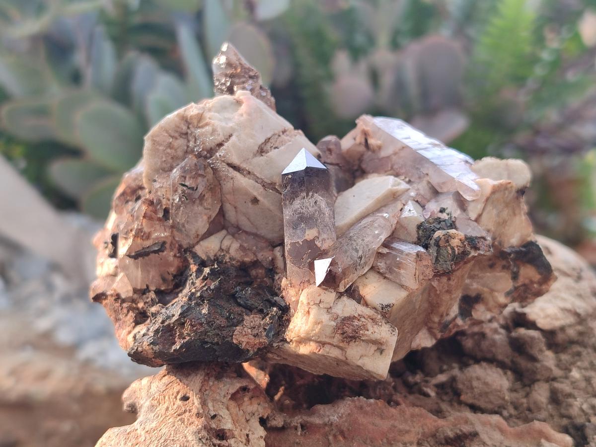 Natural Aegirine Specimens with Associated Minerals x 3 From Zomba, Malawi