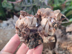Natural Aegirine Specimens with Associated Minerals x 3 From Zomba, Malawi